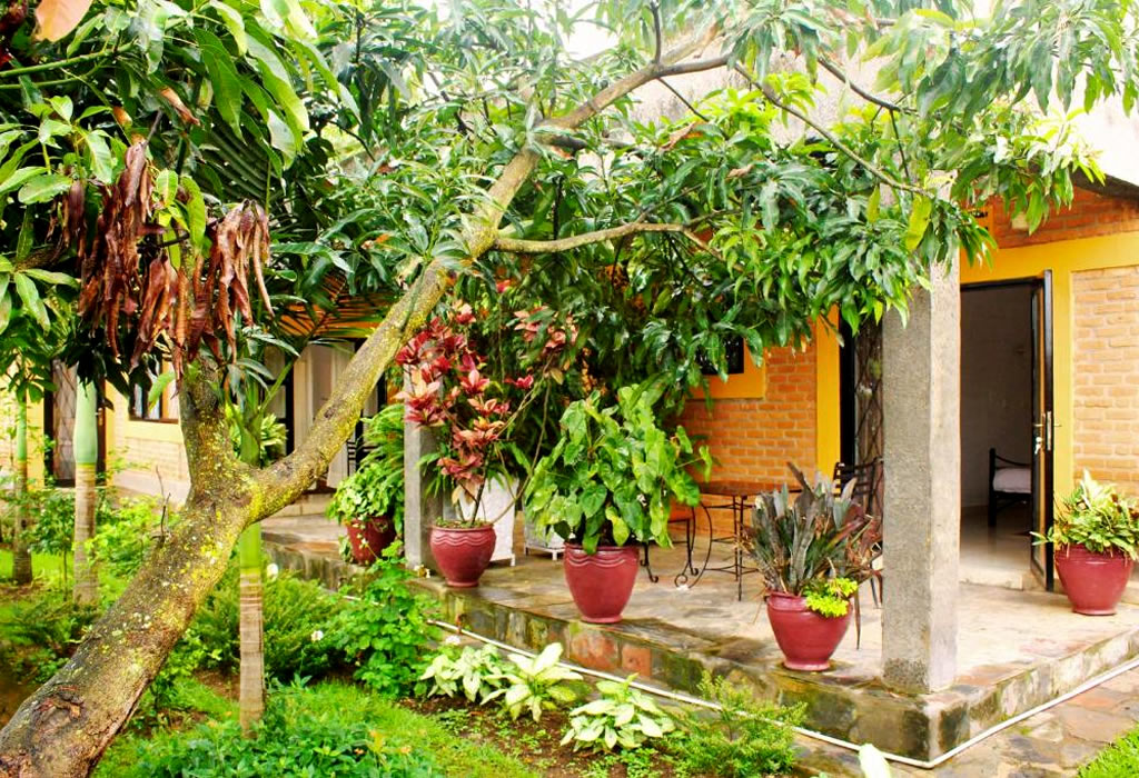 King Room with Garden View